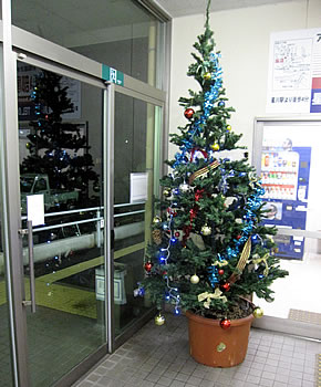 星川駅クリスマスツリー